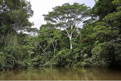 据爆料：《斯普拉遁3》全球将只发行一个版本 DLC全区通用